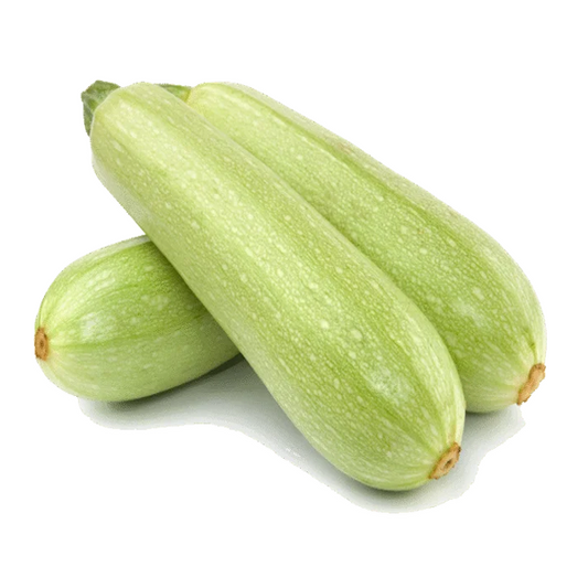 COURGETTE – كورجيت