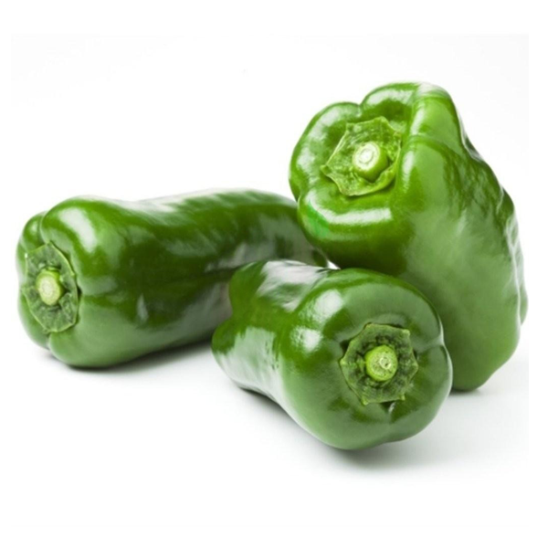 POIVRON LONG VERT – فلفل حلوة