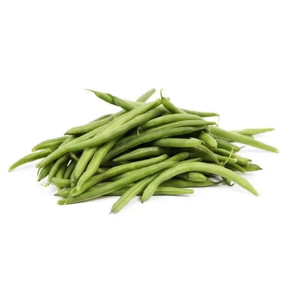 HARICOTS VERT – لوبيا خضرا