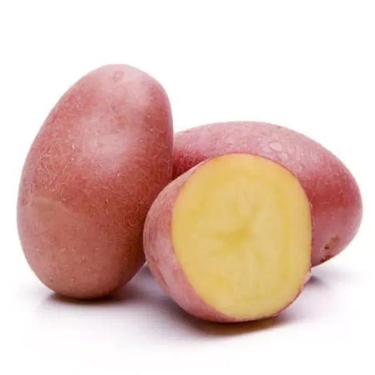 POMME DE TERRE ROUGE – البطاطس الحمراء