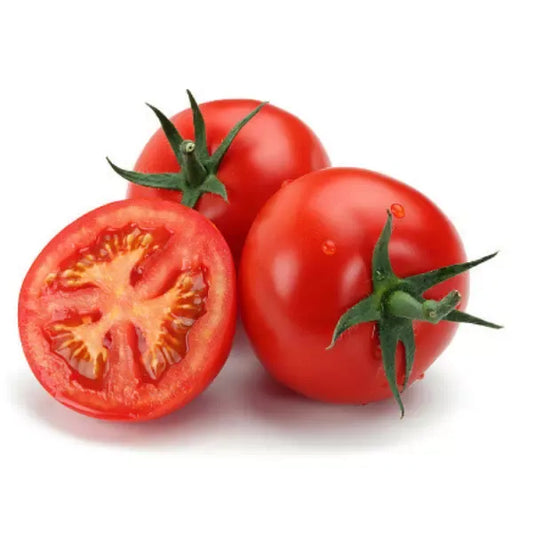TOMATE – مطيشة