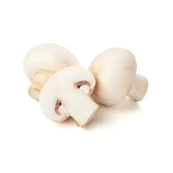 Champignon De Paris – الفطر