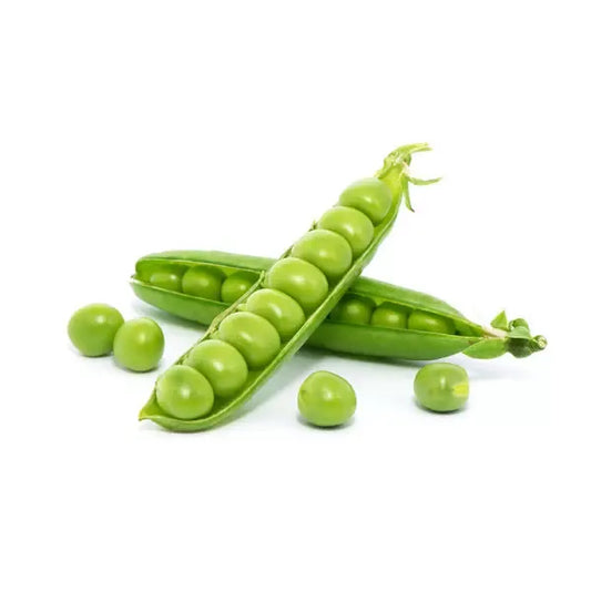 PETITS POIS – جلبانة