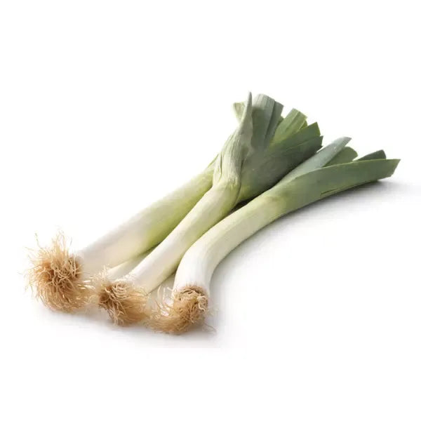 POIREAU – بورو