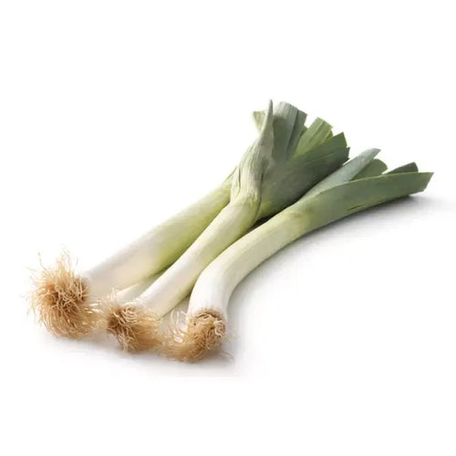 POIREAU – بورو